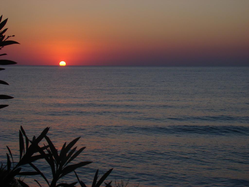 Apartament Sun Camero *